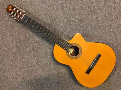 قیمت و خرید گیتار آدمیرا Fiesta